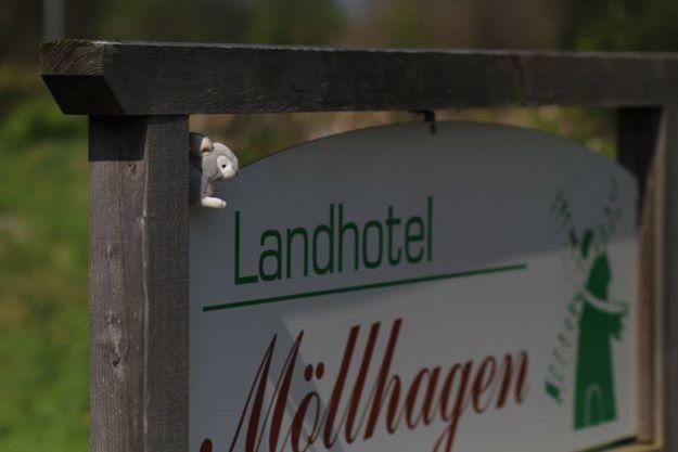 Landhotel Moellhagen Schulp bei Nortorf Екстериор снимка